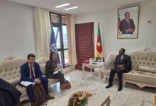 Cameroun - Reconstruction du Corridor Douala-Bangui: Le dossier du Cameroun est prêt 13
