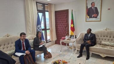 Cameroun - Reconstruction du Corridor Douala-Bangui: Le dossier du Cameroun est prêt 16