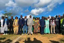 Cameroun - Mengong : le retour aux sources en marche 28