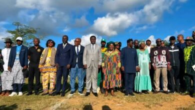 Cameroun - Mengong : le retour aux sources en marche 2