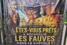 Cameroun - La Nuit des Fauves de la Forêt : Une première qui promet  10