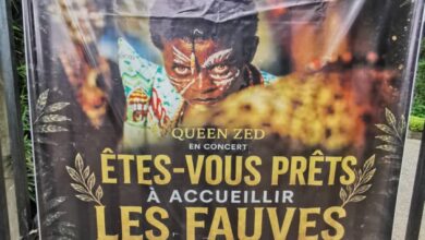 Cameroun - La Nuit des Fauves de la Forêt : Une première qui promet 5