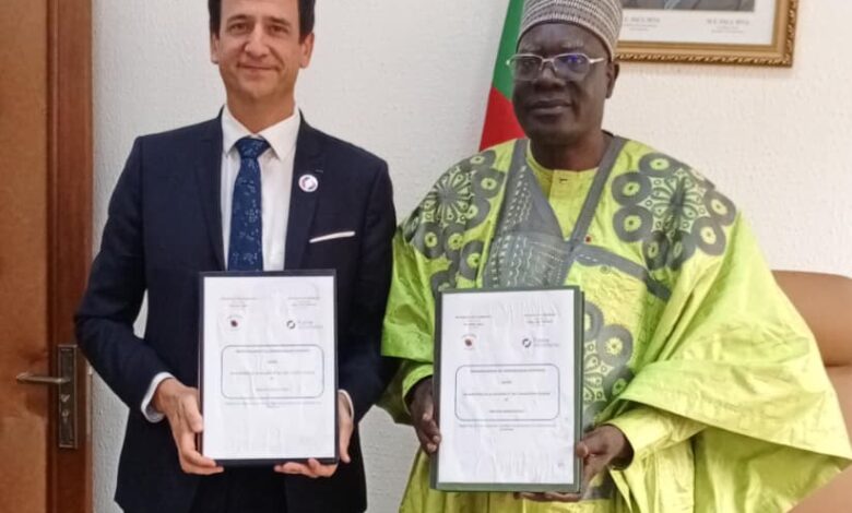 Mise en œuvre du volontariat : France Volontaire et le gouvernement Camerounais révisent leur trajectoire 1
