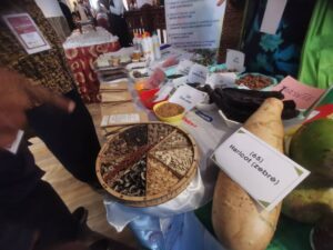 Avenir de l'agroécologie et des systèmes alimentaires durables: Au cœur des échanges de la 2ème conférence du Bassin du Congo 11