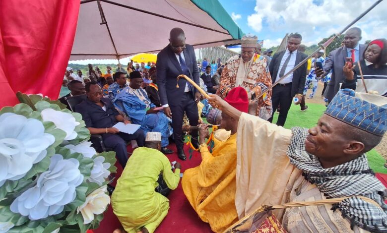 Cameroun - Pont en structure métallique sur le Mayo Taram : l’ouvrage croise les attentes des populations 3