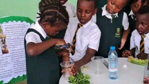 Cameroun - Éducation inclusive : DEWEY INTERNATIONAL SCHOOL, le choix de l'excellence au service de chaque enfant 9