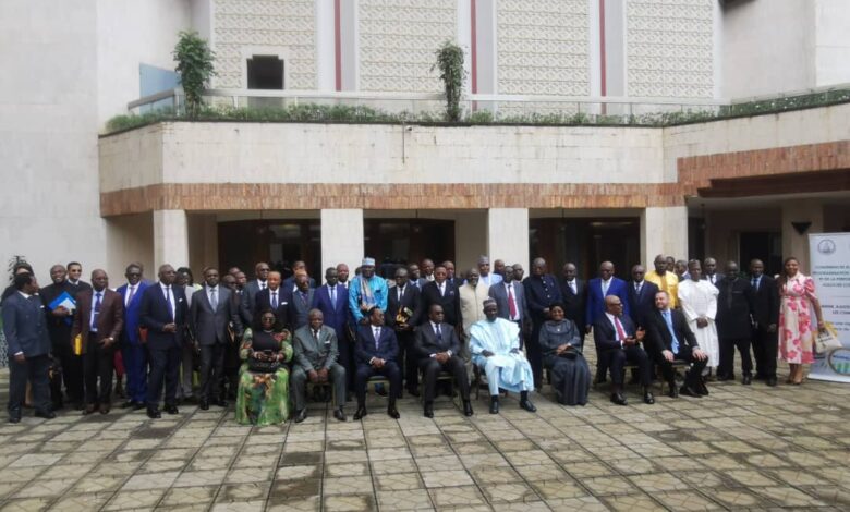 Cameroun - Reconstruction de la région de l'Extrême-Nord : le Plan spécial s'accélère 1
