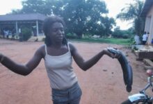 Cameroun - ESSE: L'Ong CADO clôture en apothéose la saison CADO FISH 11