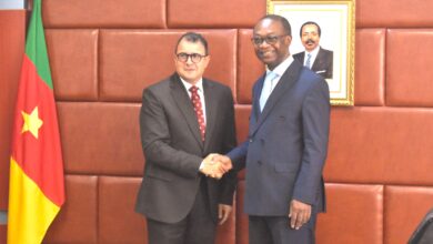 Coopération Cameroun - Égypte : Un nouveau chapitre s'ouvre pour les PME, l'artisanat et l'investissement 2