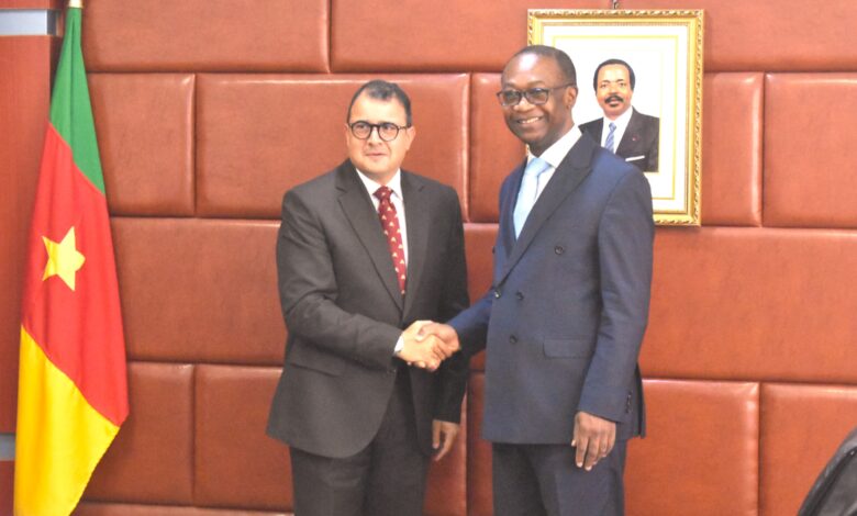 Coopération Cameroun - Égypte : Un nouveau chapitre s'ouvre pour les PME, l'artisanat et l'investissement 1