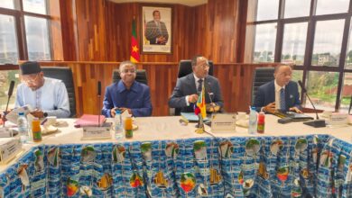 Cameroun- Projets routiers à Financement conjoint : le MINTP passe en revue les travaux en cours dans le septentrion 12
