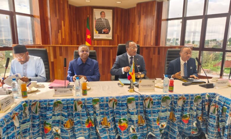 Cameroun- Projets routiers à Financement conjoint : le MINTP passe en revue les travaux en cours dans le septentrion 3