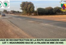 Cameroun- Ngaoundéré-Garoua : les missions de contrôle désormais contractualisées 10