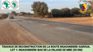 Cameroun- Ngaoundéré-Garoua : les missions de contrôle désormais contractualisées 1