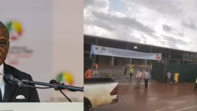 Cameroun - Achèvement de l'Usine Pharmaceutique de MEYO: DION NGUTE presse 3