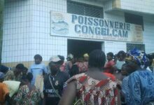 Cameroun - Marché du poisson: Congelcam exprime son malaise 11