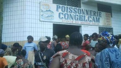 Cameroun - Marché du poisson: Congelcam exprime son malaise 3